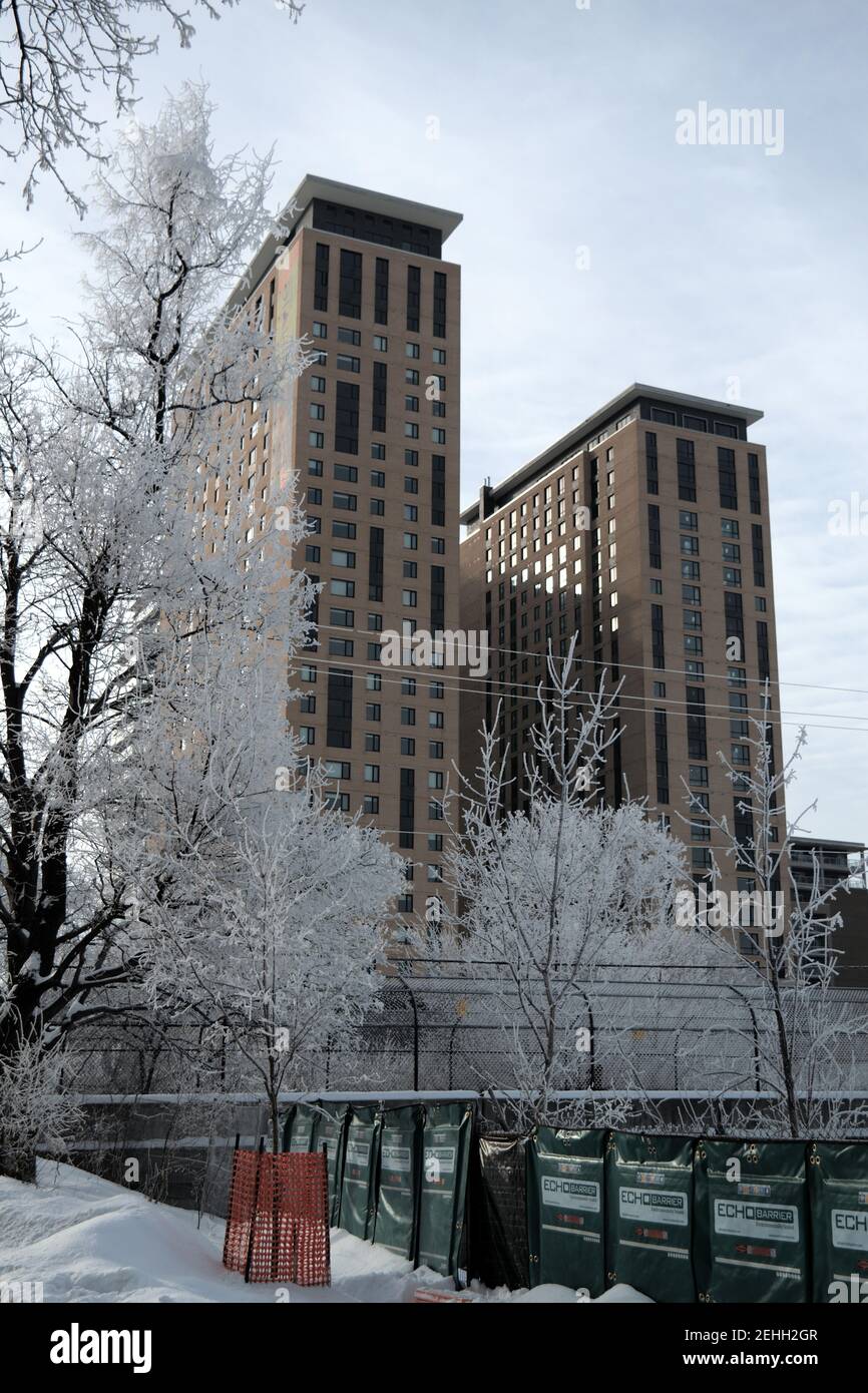 Canadian winter scenes - towering condominiums behind some pretty frosted, icy trees on Beech St. Ottawa, Ontario, Canada. Stock Photo
