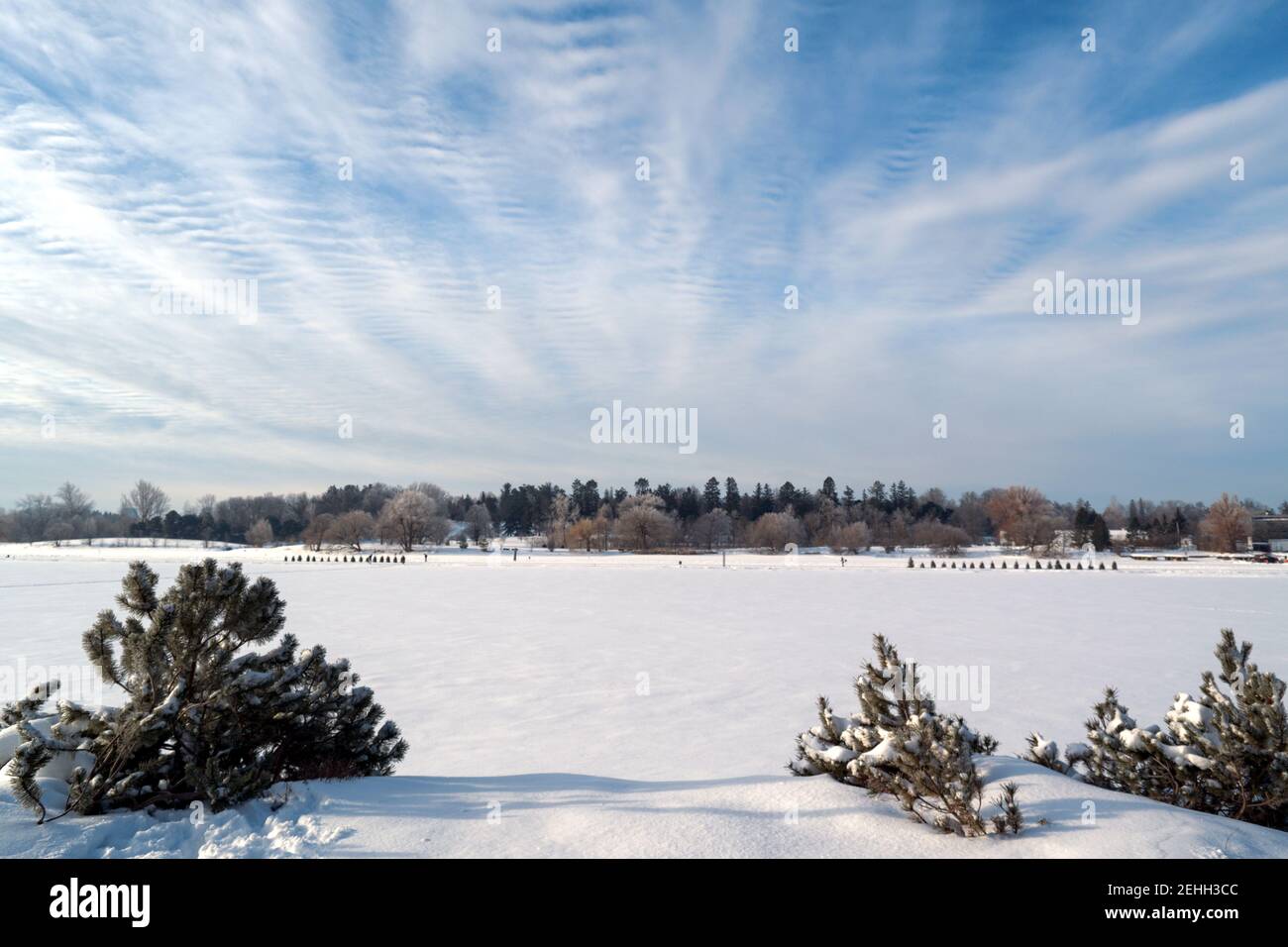 Life in a cold city - winter scene from Ottawa - beautiful morning cloud and snow landscape at Dow's Lake. Ontario, Canada. Stock Photo