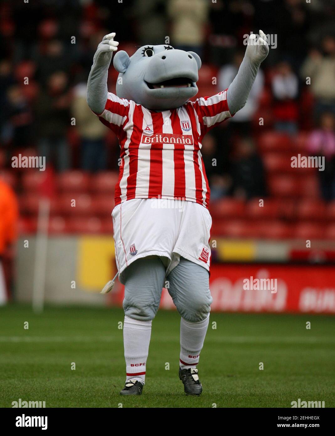 Lot Autocollants Drapeau écharpe 25 Autocollants Stoke City FC