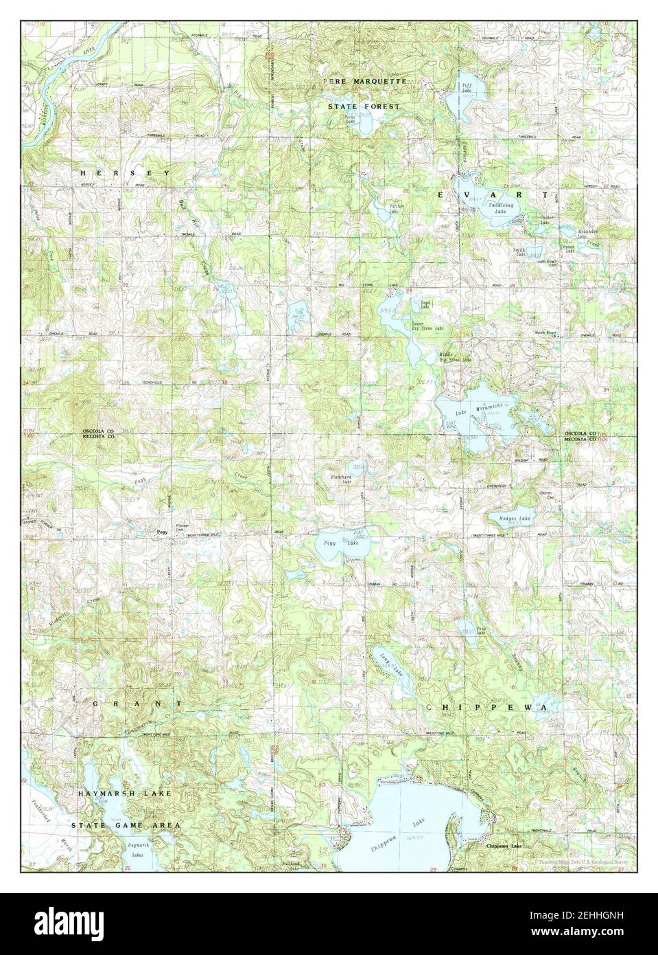 Chippewa Lake North, Michigan, map 1983, 125000, United States of