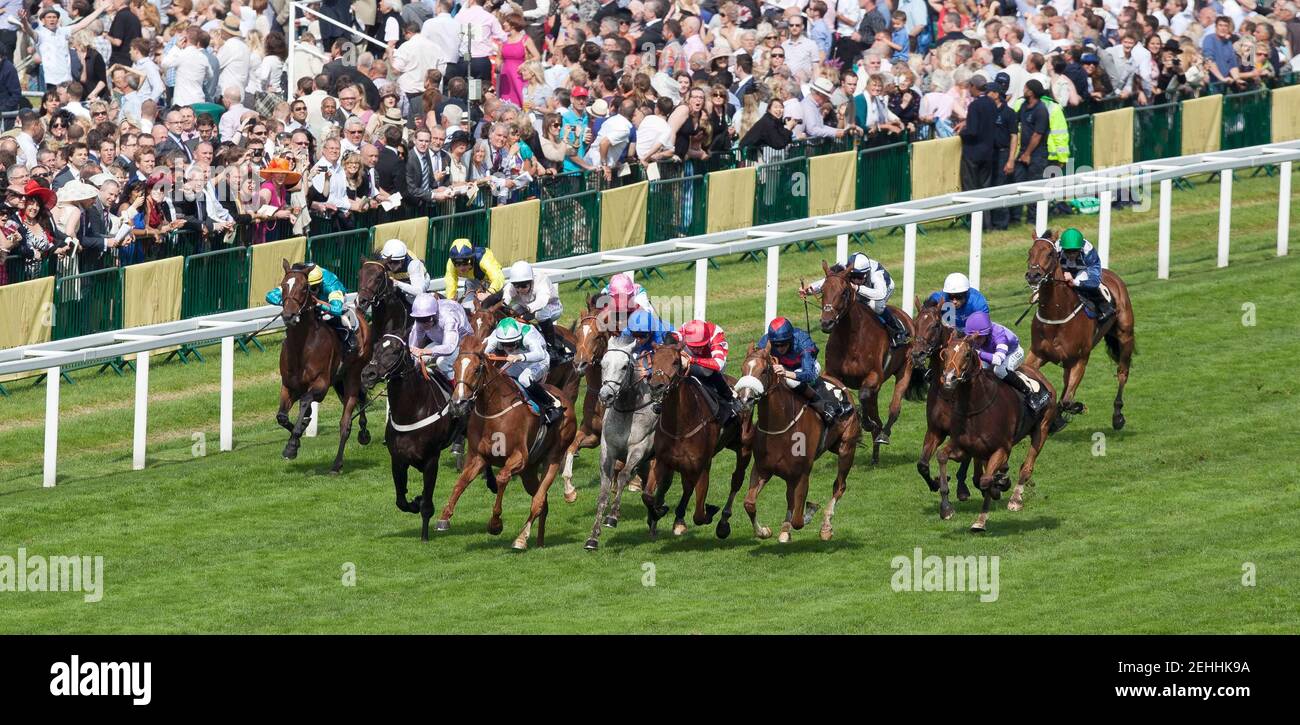 Horse Racing - Royal Ascot  - Ascot Racecourse - 21/6/13  Forgotten Voice (3rd L) ridden by Johnny Murtagh before winning the 16.25 Wolferton Handicap Stakes  Mandatory Credit: Action Images / Julian Herbert  Livepic Stock Photo