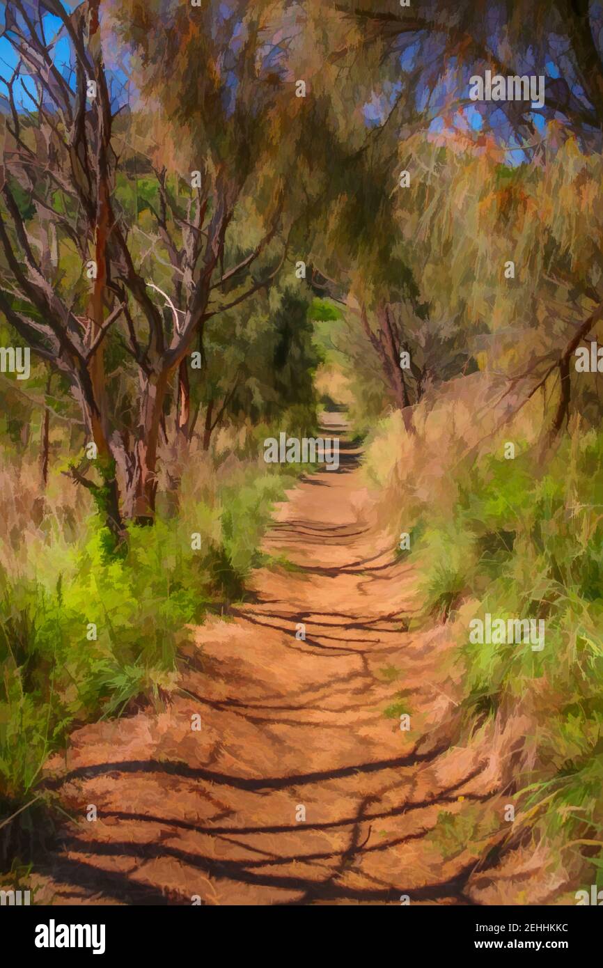 Digital painting of the Mount Schank walking trail, Mount Schank, South Australia. Stock Photo
