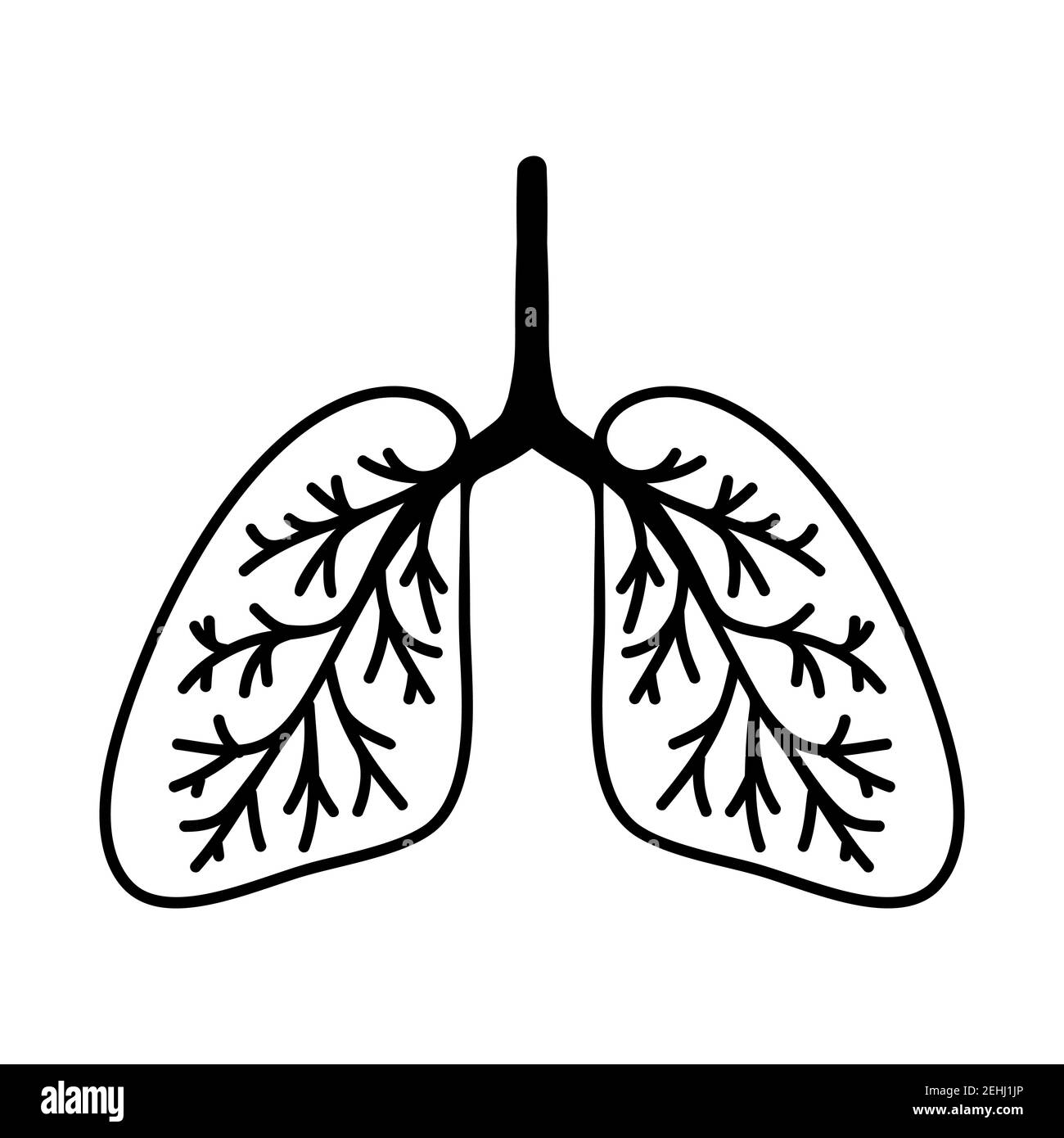 Simple hand drawn lungs illustration. Isolated on a white background. Stock Vector