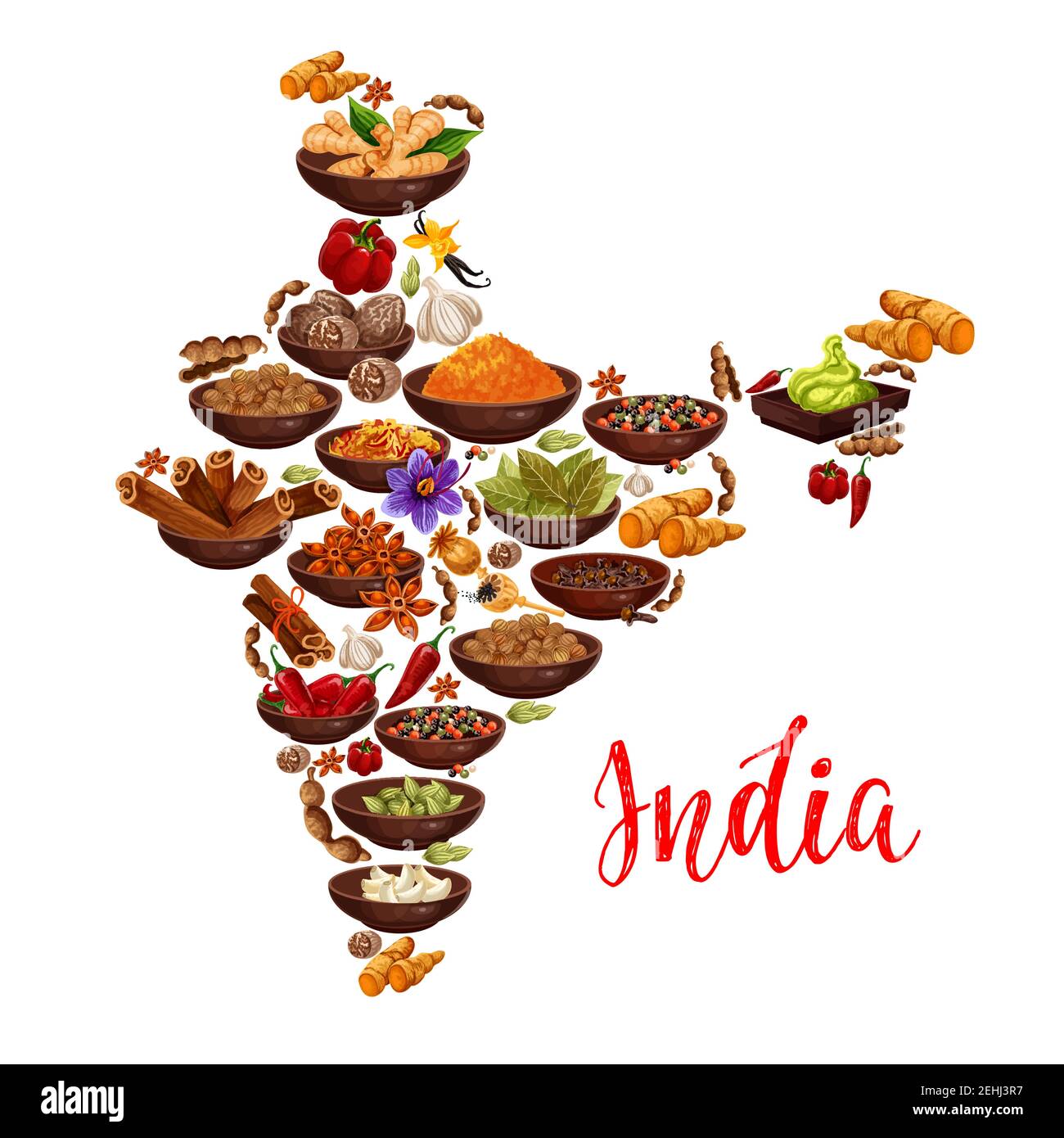 Indian cuisine spices in India map Vector design of curry, ginger and