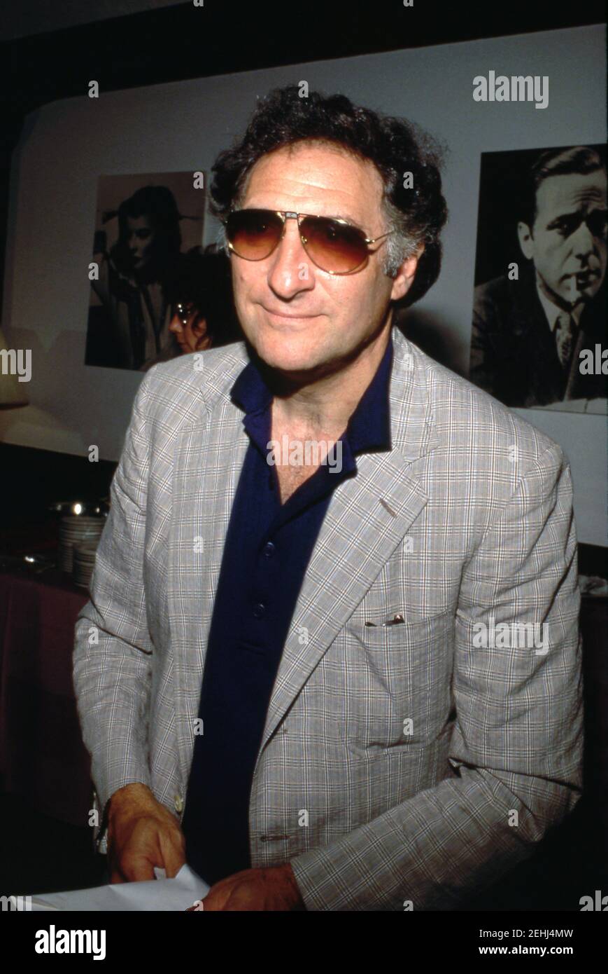 Judd Hirsch at the ‘NBC Fall TCA Press Tour’ on July 18, 1990 at