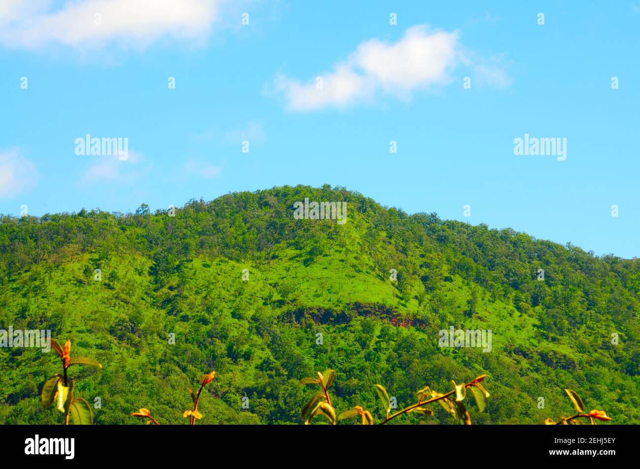 High up steep slopes hi-res stock photography and images - Alamy