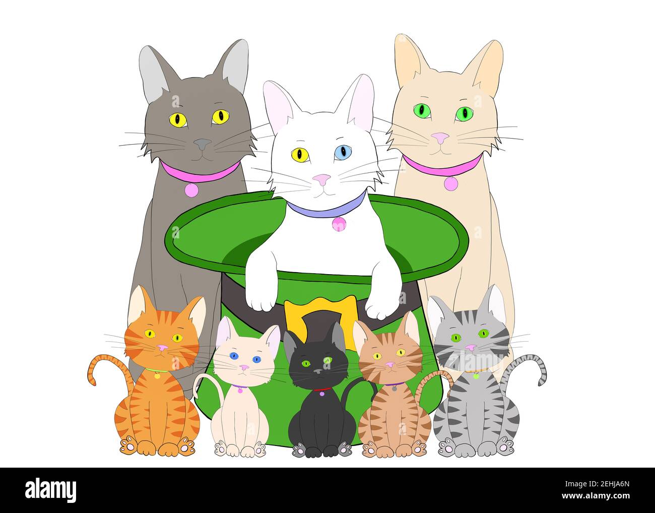 White cats with collars and tags hires stock photography and images