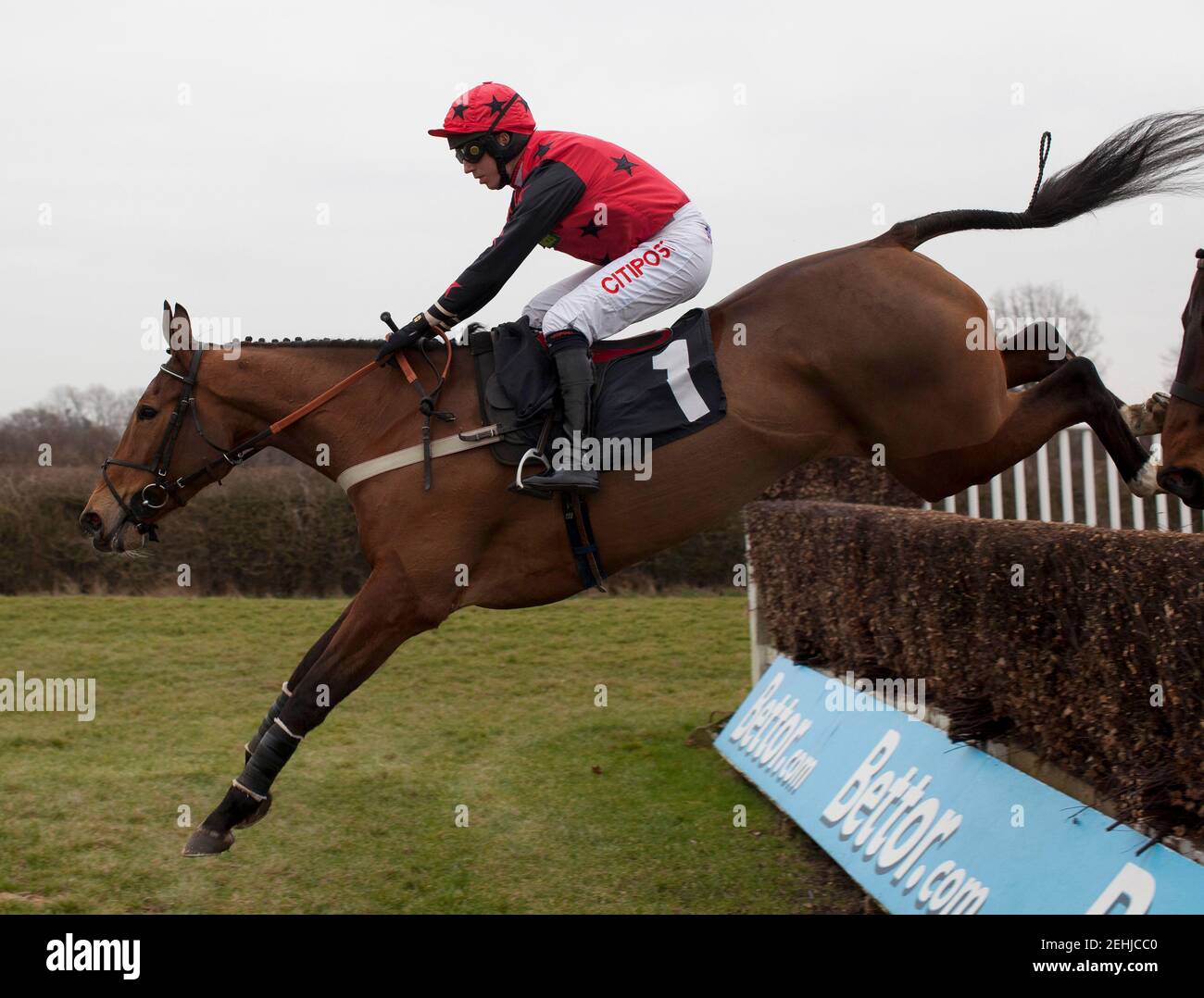Horse Racing - Plumpton - Plumpton Racecourse - 27/2/12  How's Business ridden by Noel Fehily before winning the 14.45 E.B.F. Thoroughbred Breeders Association Mares' Novices' Steeple Chase  Mandatory Credit: Action Images / Julian Herbert  Livepic Stock Photo