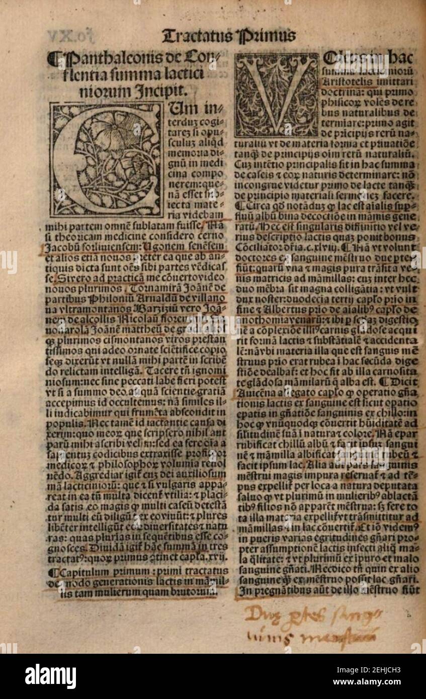 Pantaleone da Confienza Summa lacticiniorum 1525 ed initium. Stock Photo