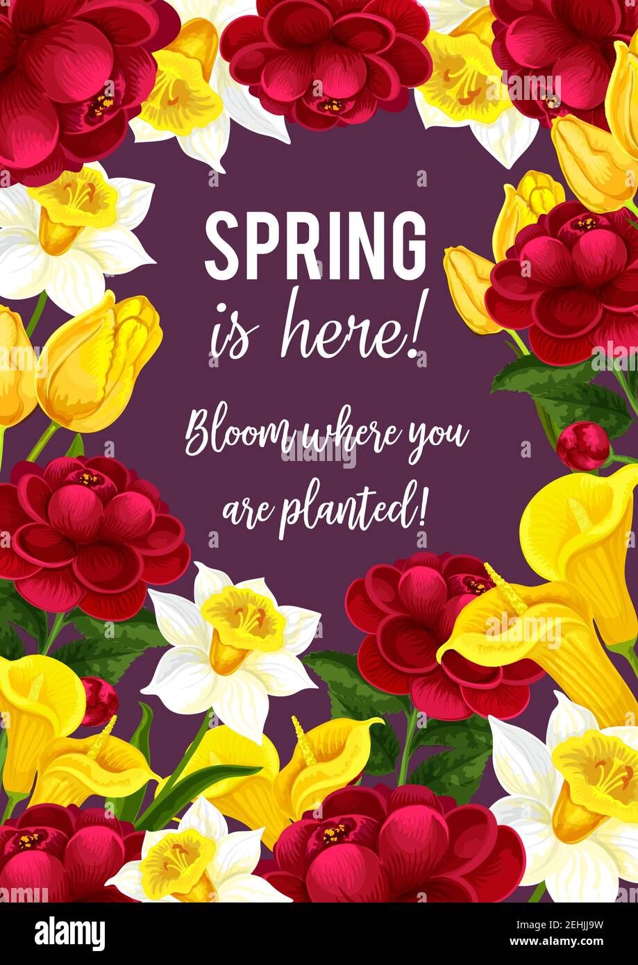 Spring Is Here Quotes