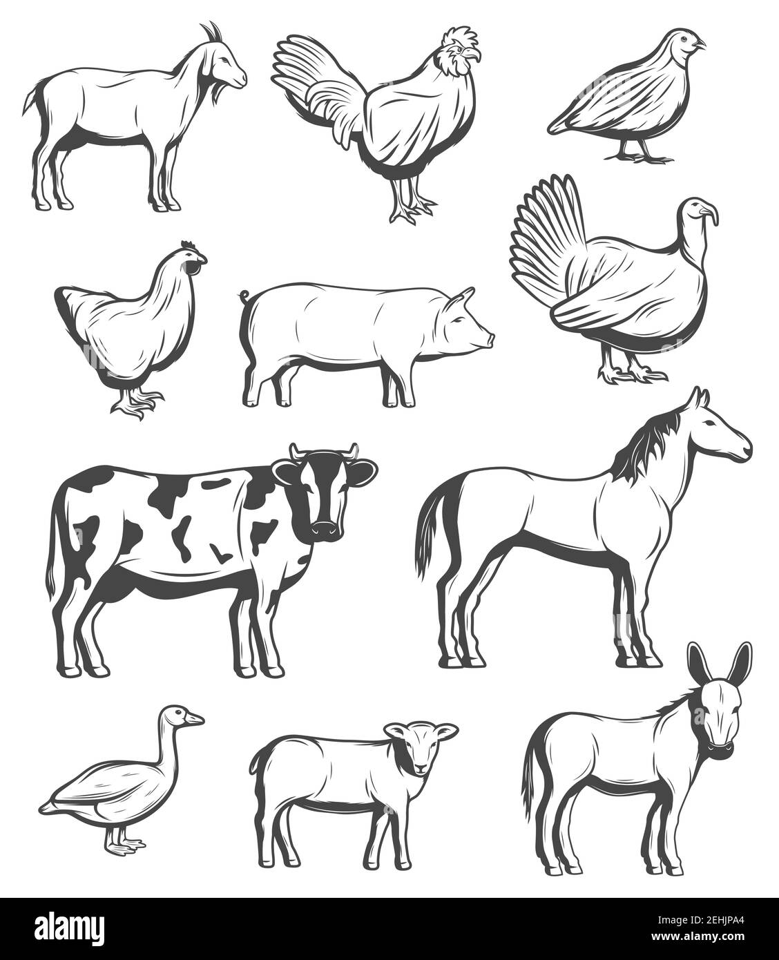 Farm animals, cattle and poultry birds. Vector farmer household of cow ...