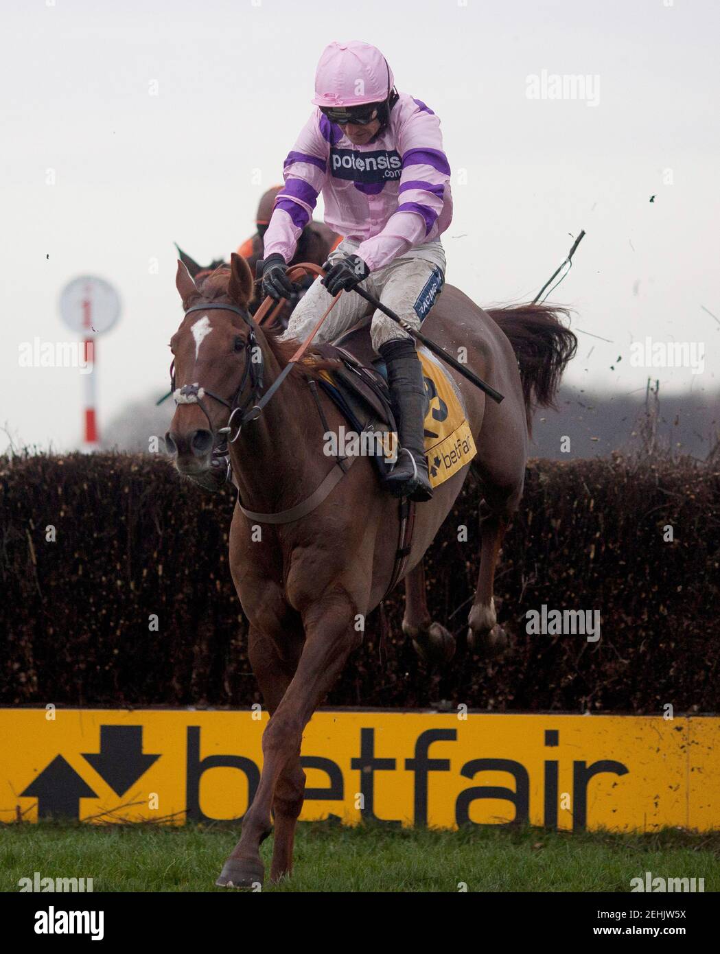 Horse Racing - Betfair Chase - Haydock Park Racecourse - 24/11/12  Silviniaco Conti ridden by Ruby Walsh goes over the last fence before going on to win the 15.05; The Betfair Steeple Chase Race  Mandatory Credit: Action Images / Julian Herbert  Livepic Stock Photo