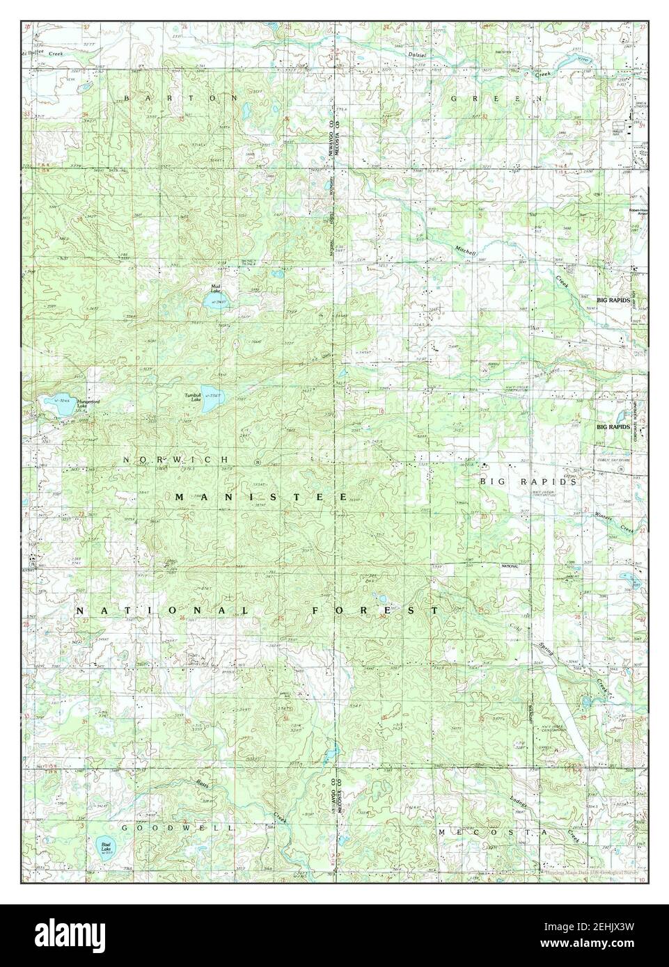 Woodville NE, Michigan, map 1985, 124000, United States of America by Timeless Maps, data U.S