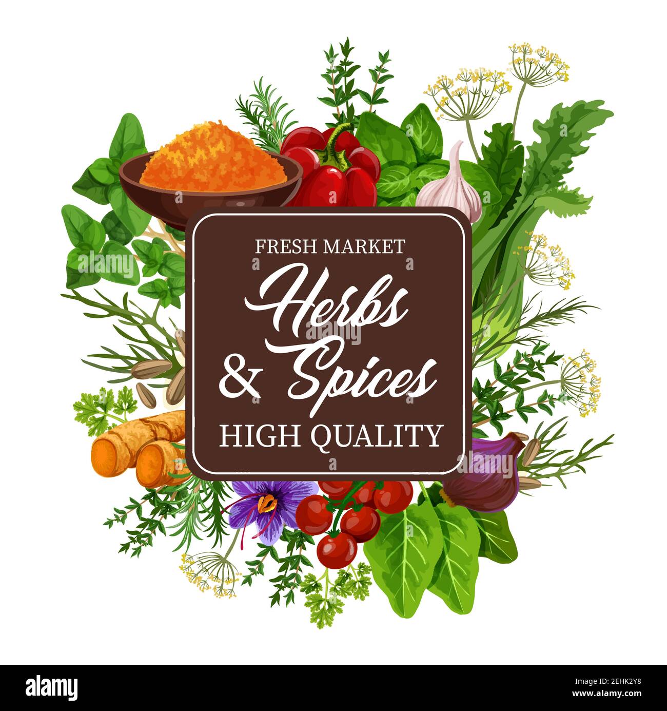 Cilantro powder Stock Vector Images Alamy