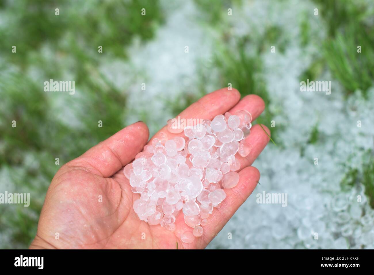 A human hand full of hailstones Stock Photo