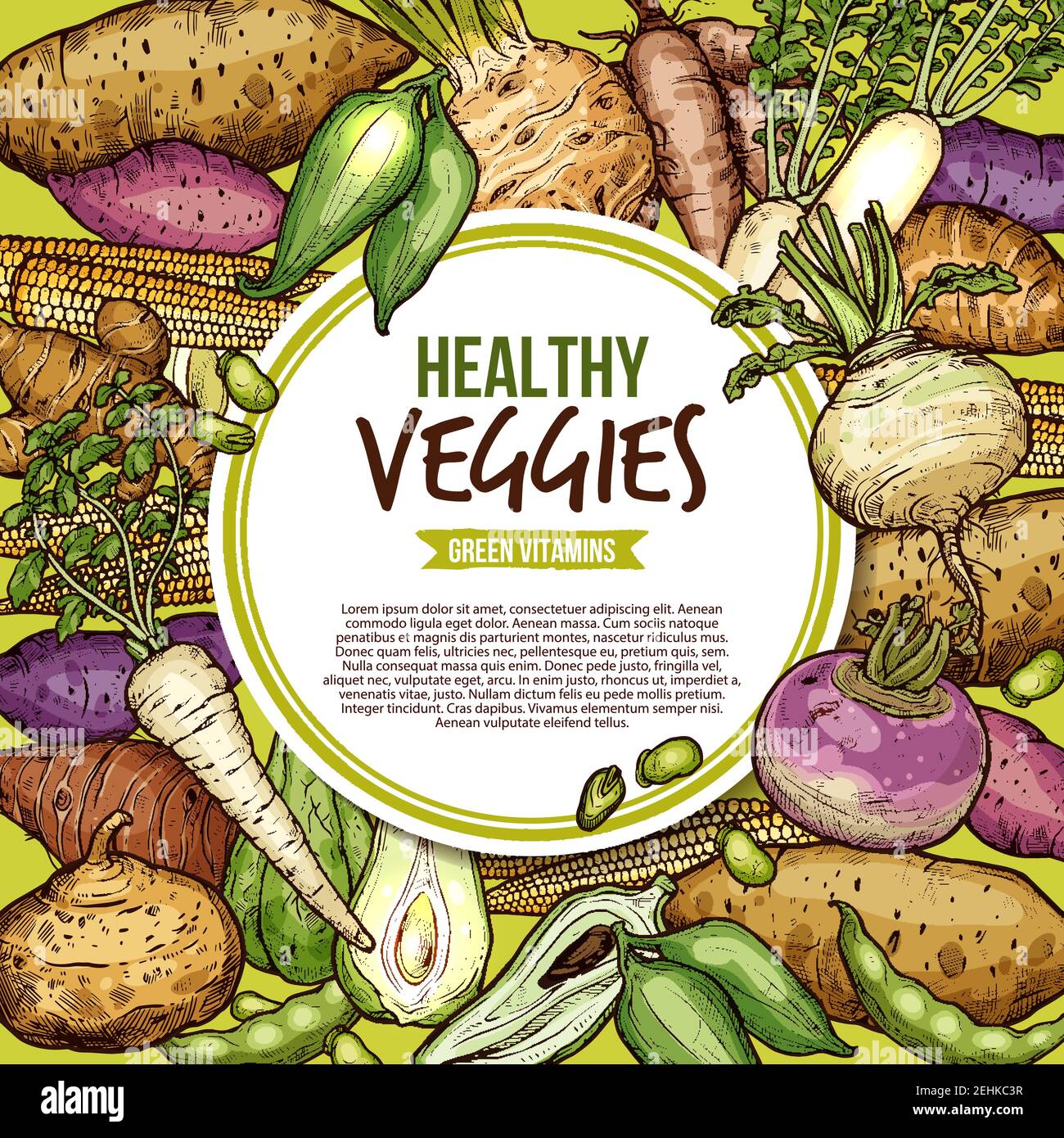 Vegetables and farm veggies sketch, egetarian healthy food. Vector natural vegan organic potato, radish or turnip and legume bread beans with jicama a Stock Vector