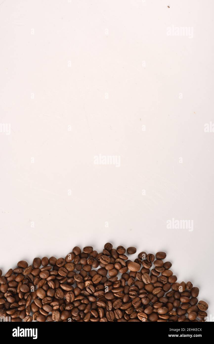 Coffee beans isolated on white background with copy space for text ...