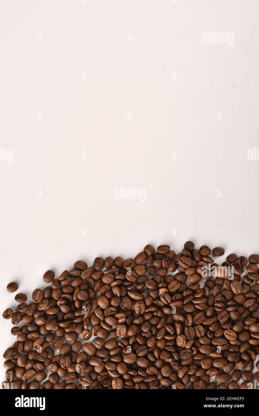 Coffee beans isolated on white background with copy space for text ...