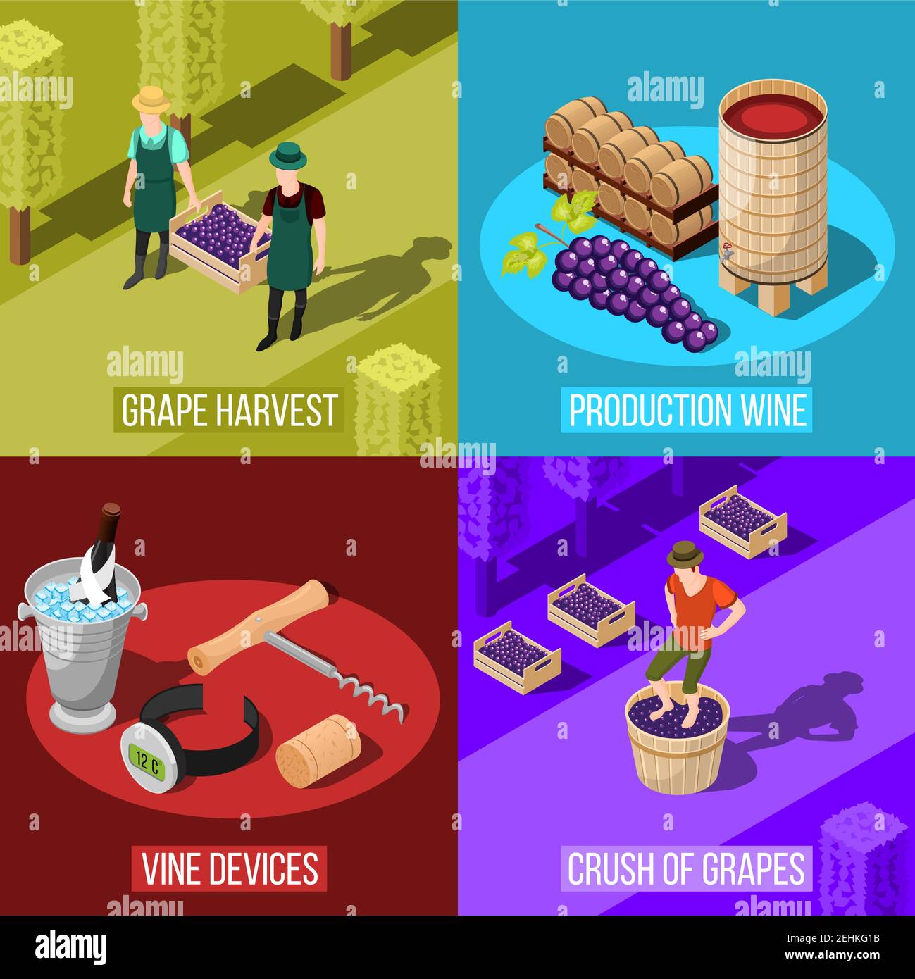 Isometric wine production design concept with colorful square ...