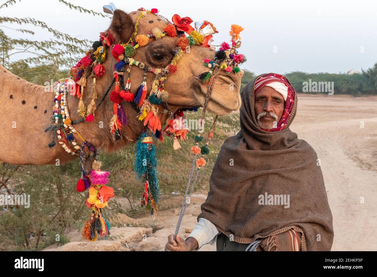 Old Man With Camel Near Abbassi Mosque near Derawar Fort, Yazman Tehsil, Punjab, Pakistan Stock Photo