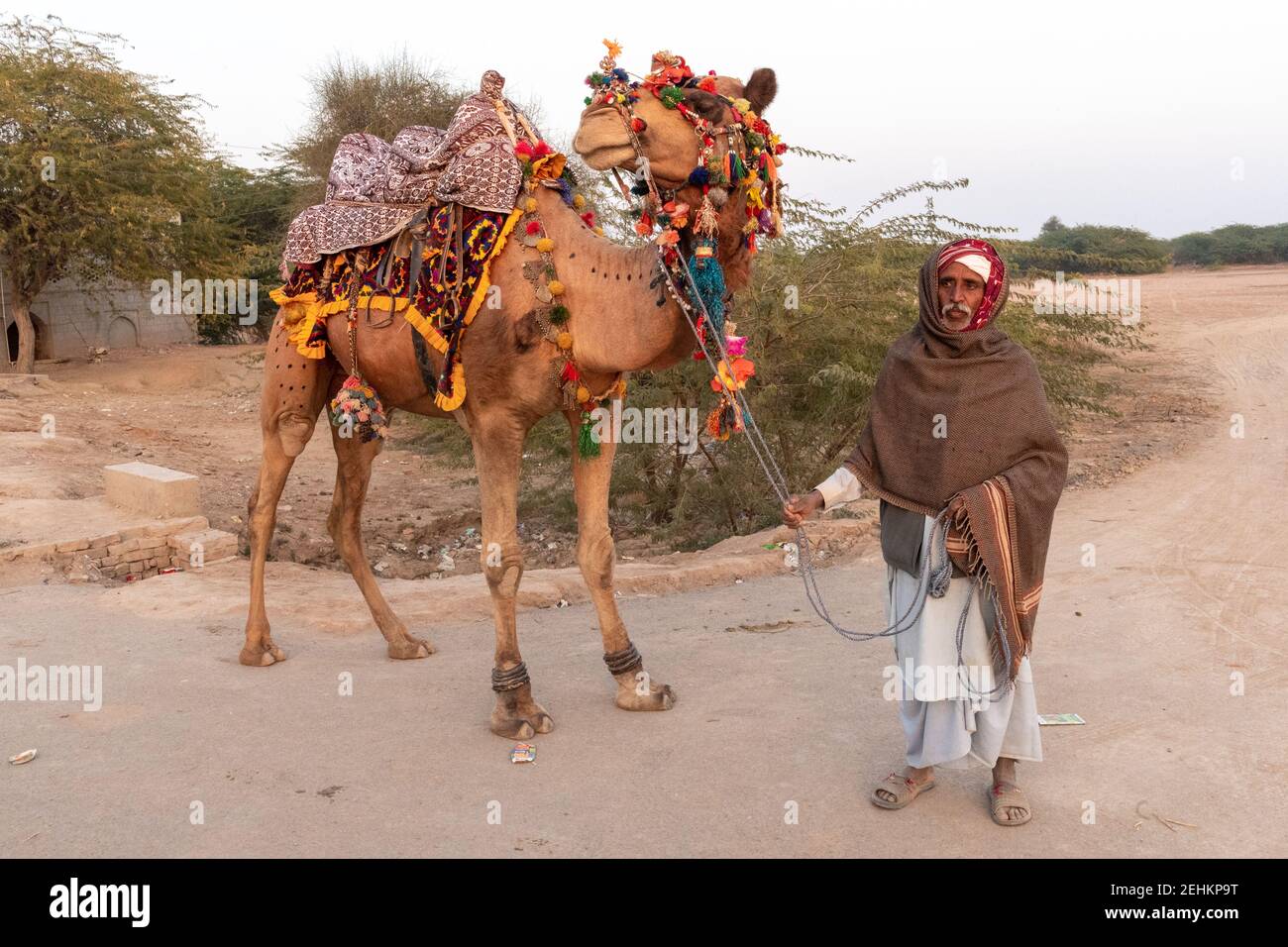 Old Man With Camel Near Abbassi Mosque near Derawar Fort, Yazman Tehsil, Punjab, Pakistan Stock Photo