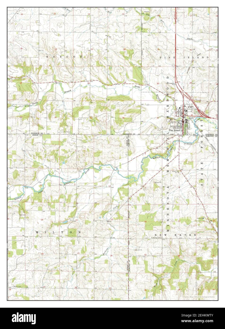 Pine Island, Minnesota, map 1965, 124000, United States of America by Timeless Maps, data U.S