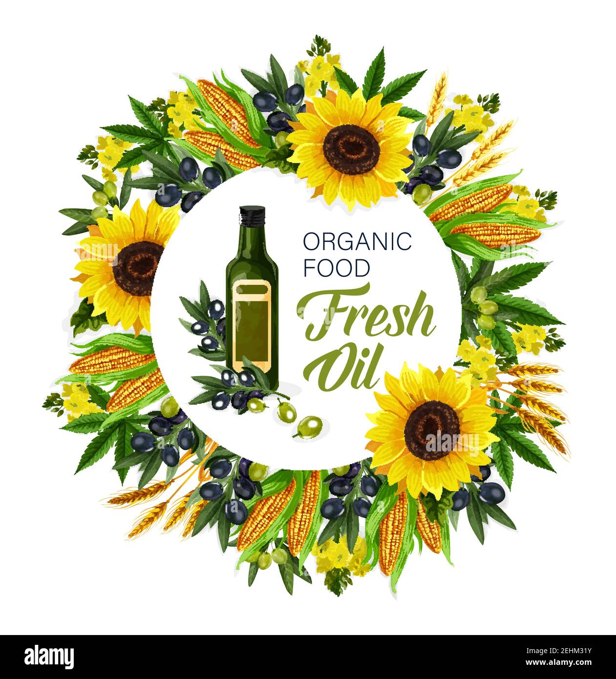 Cooking oils and ingredients, organic food. Vector extra virgin olive