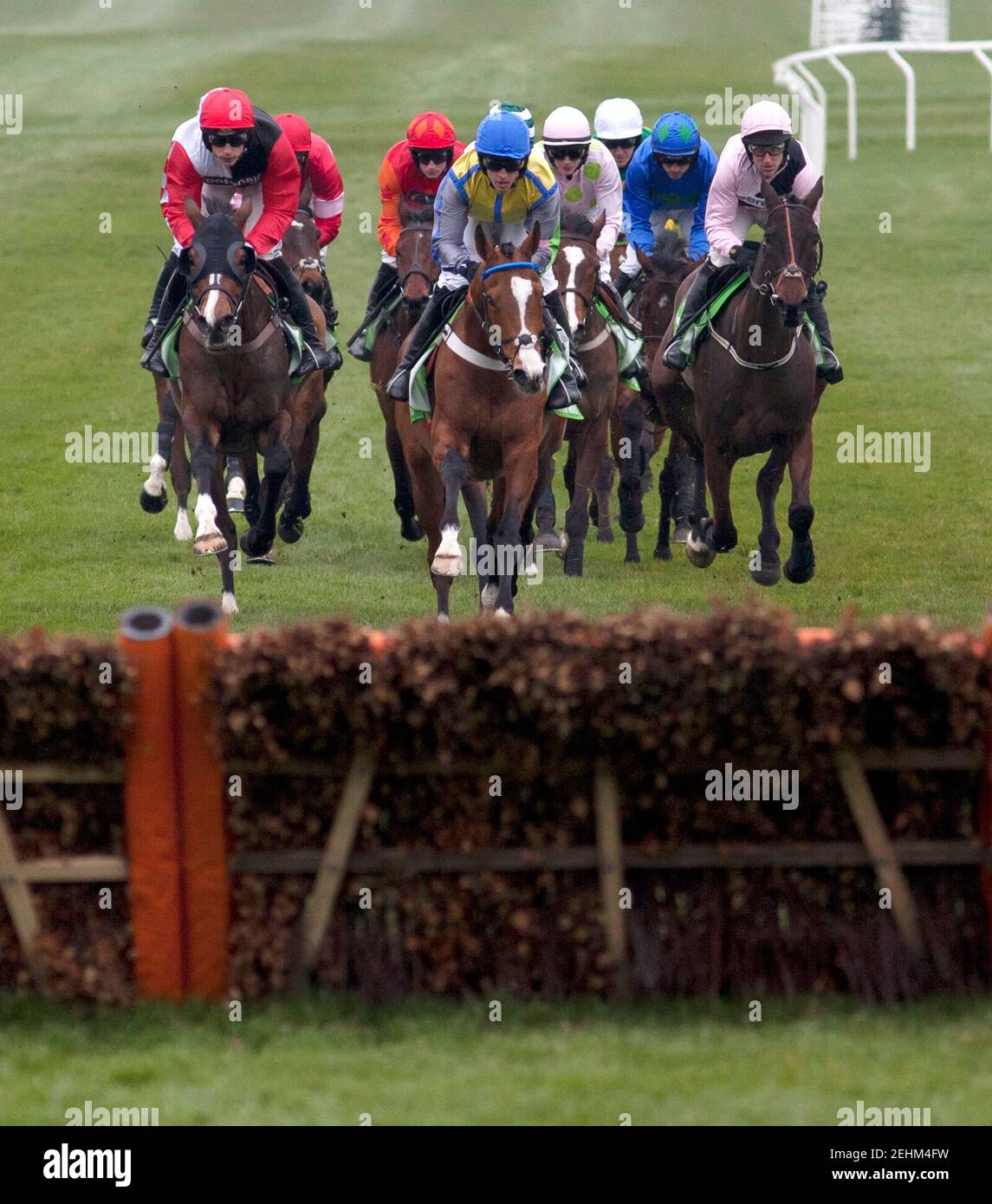 Horse Racing - Cheltenham Festival  - Cheltenham Racecourse - 13/3/12  General view of runners during the 15.20 Stan James Champion Hurdle Challenge Trophy Race  Mandatory Credit: Action Images / Julian Herbert  Livepic Stock Photo