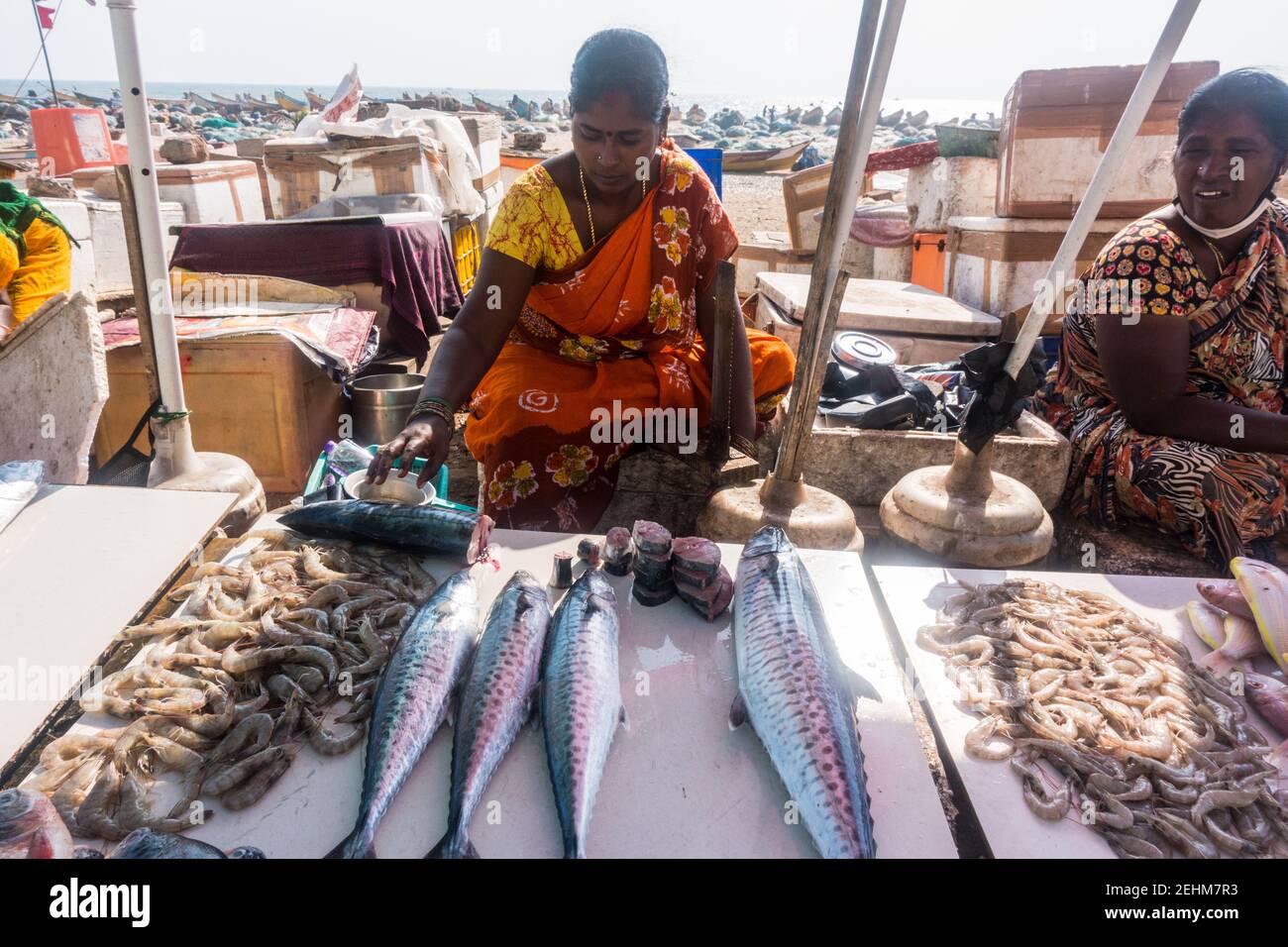Fisher women selling fish on teh road side stall near the Marina beach
