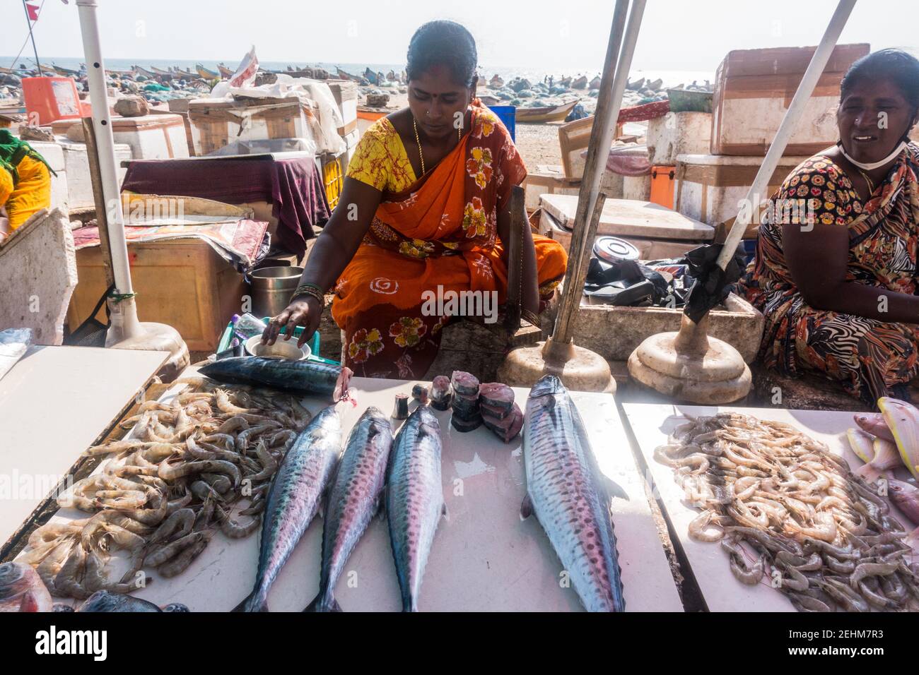 Indian women selling fish hi-res stock photography and images - Alamy