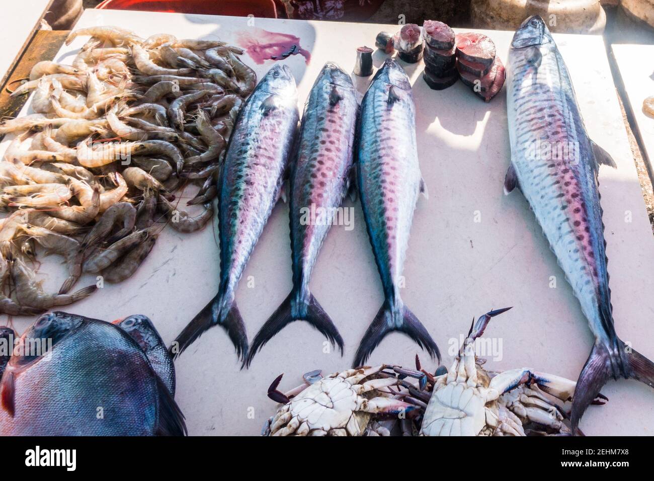 India tamil nadu chennai fish hires stock photography and images Alamy