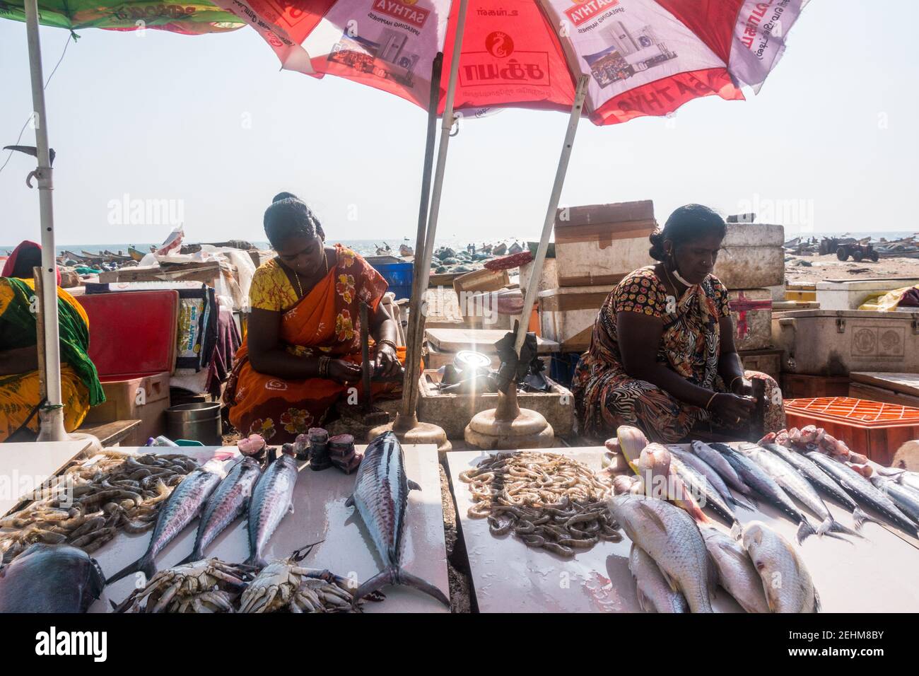 Fisher women selling fish on teh road side stall near the Marina beach