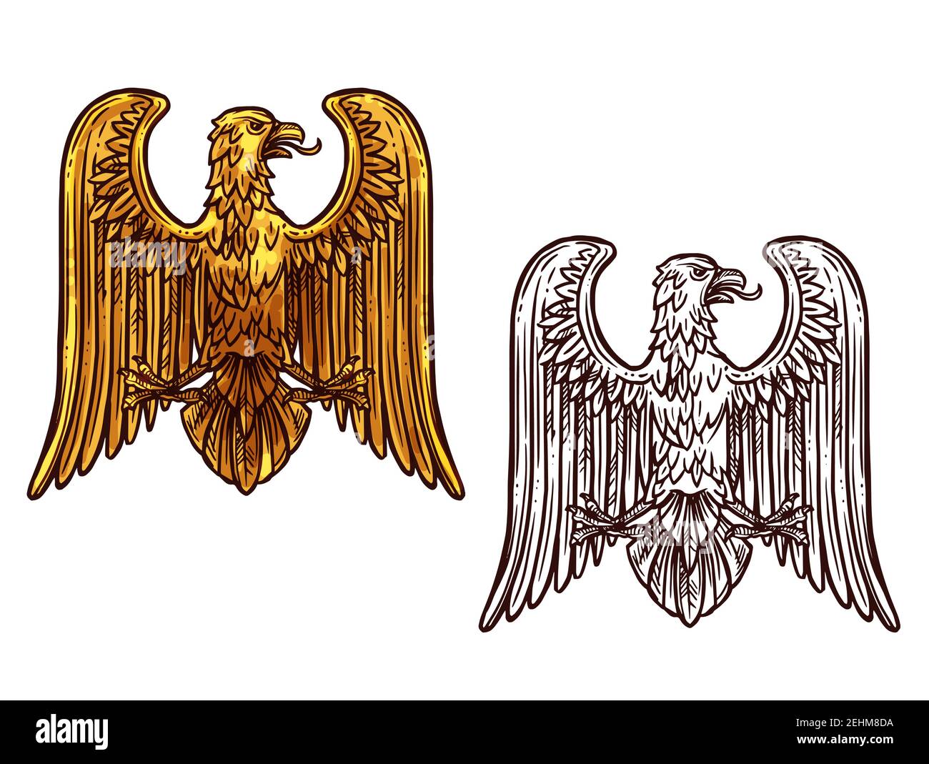 Heraldic eagle golden statue and sketch icon. Griffin coat of arms, hawk symbol of power and strength, outline golden eagle, vintage vector. Bird for Stock Vector
