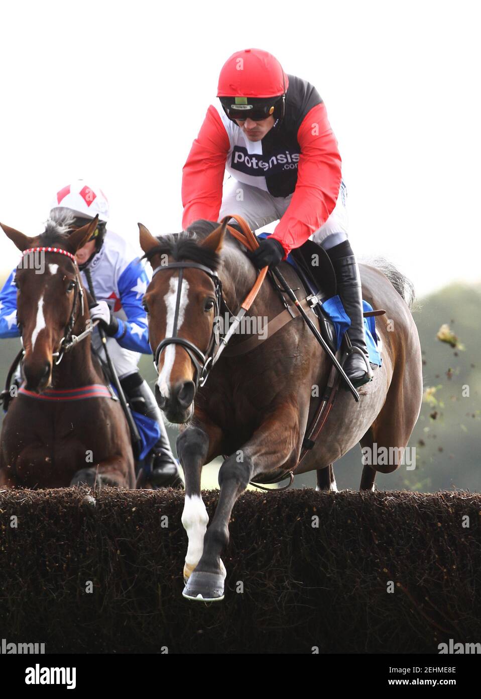 Horse Racing - Exeter - 19/10/10  Celestial Halo ridden by Ruby Walsh in action during the 15.10 Best Mate Beginners' Chase  Mandatory Credit: Action Images / Julian Herbert  Livepic Stock Photo