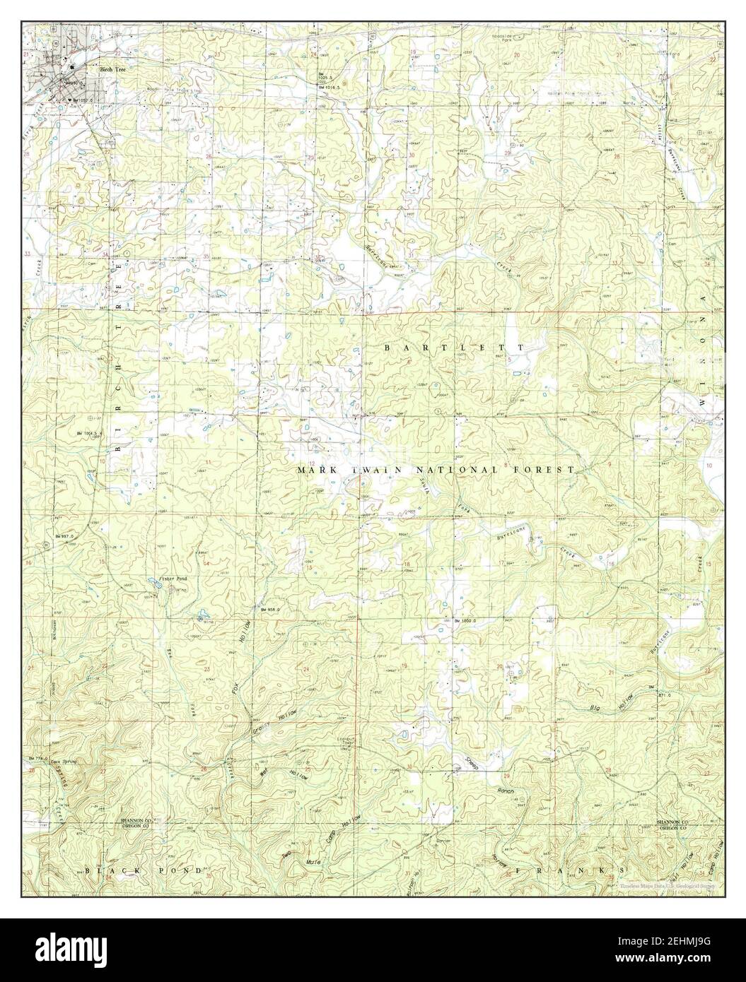 Birch Tree, Missouri, map 1982, 124000, United States of America by