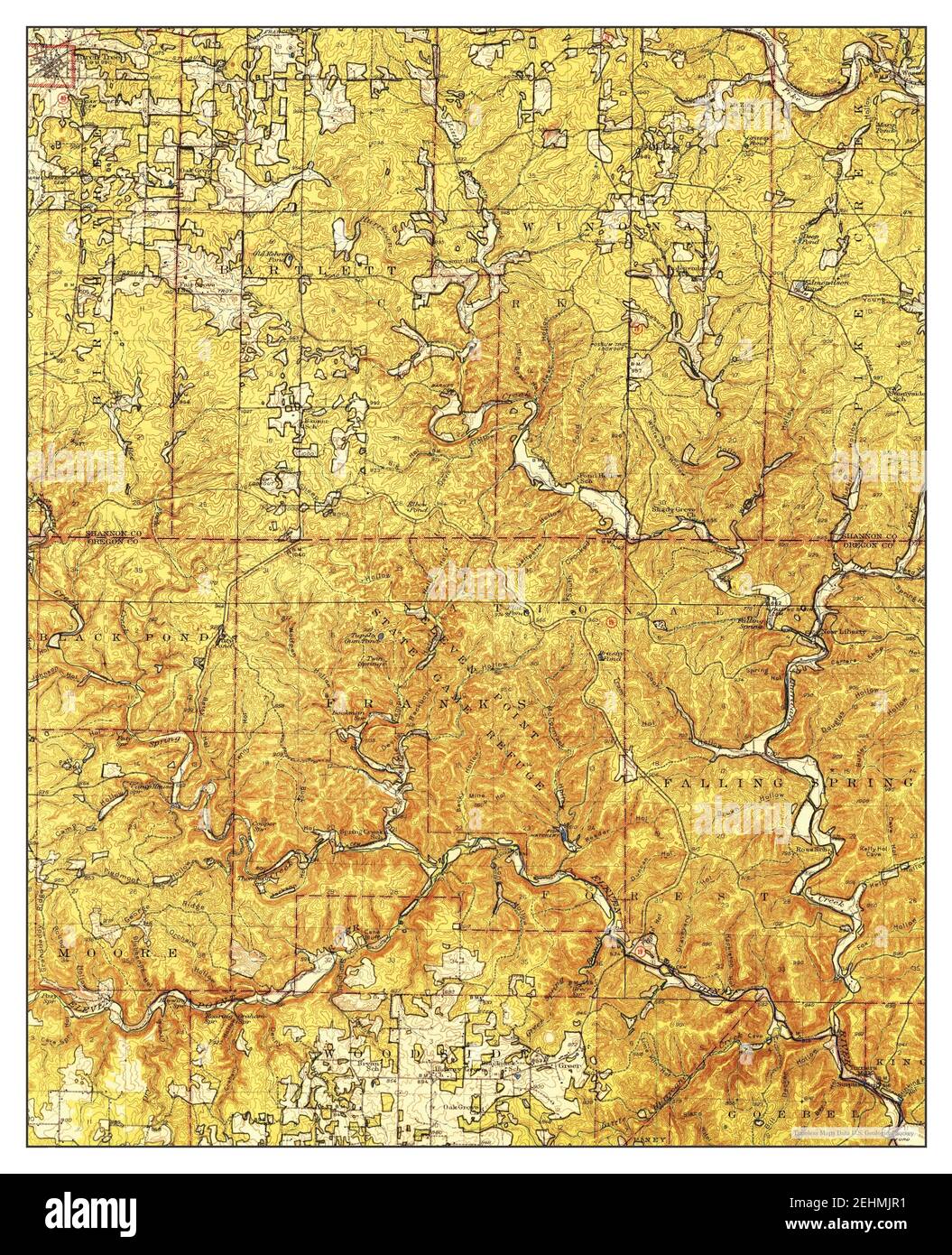 Tree survey Cut Out Stock Images & Pictures Alamy
