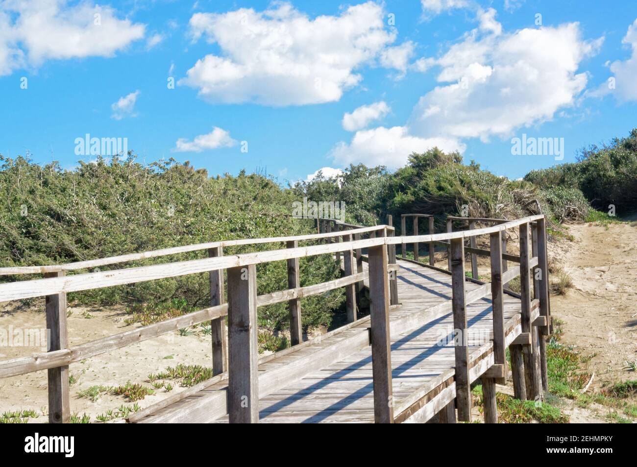 Wooden catwalk on sand dunes - Sabaudia Latina Italy Stock Photo