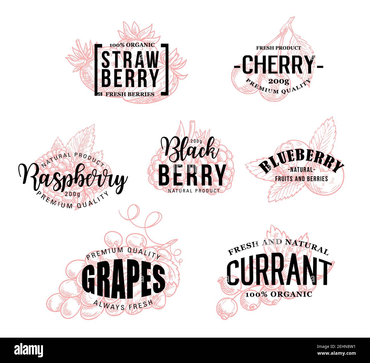 Raspberry Lettering Cherry redcurrant Stock Vector Images - Alamy