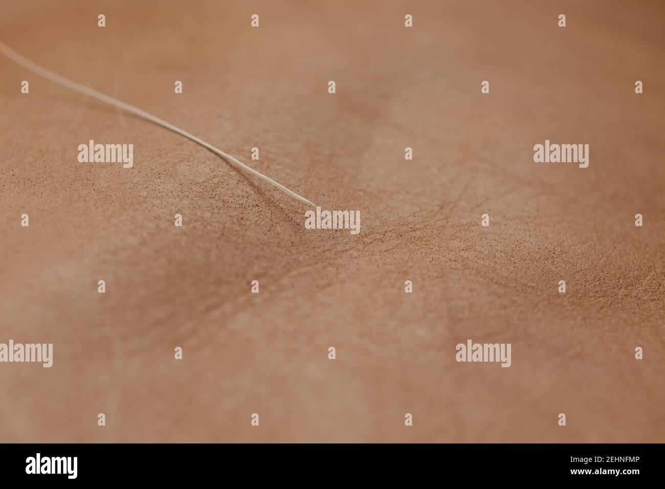 Single cat whisker over a leather background with shallow depth of field. Macro shot. Series. Stock Photo