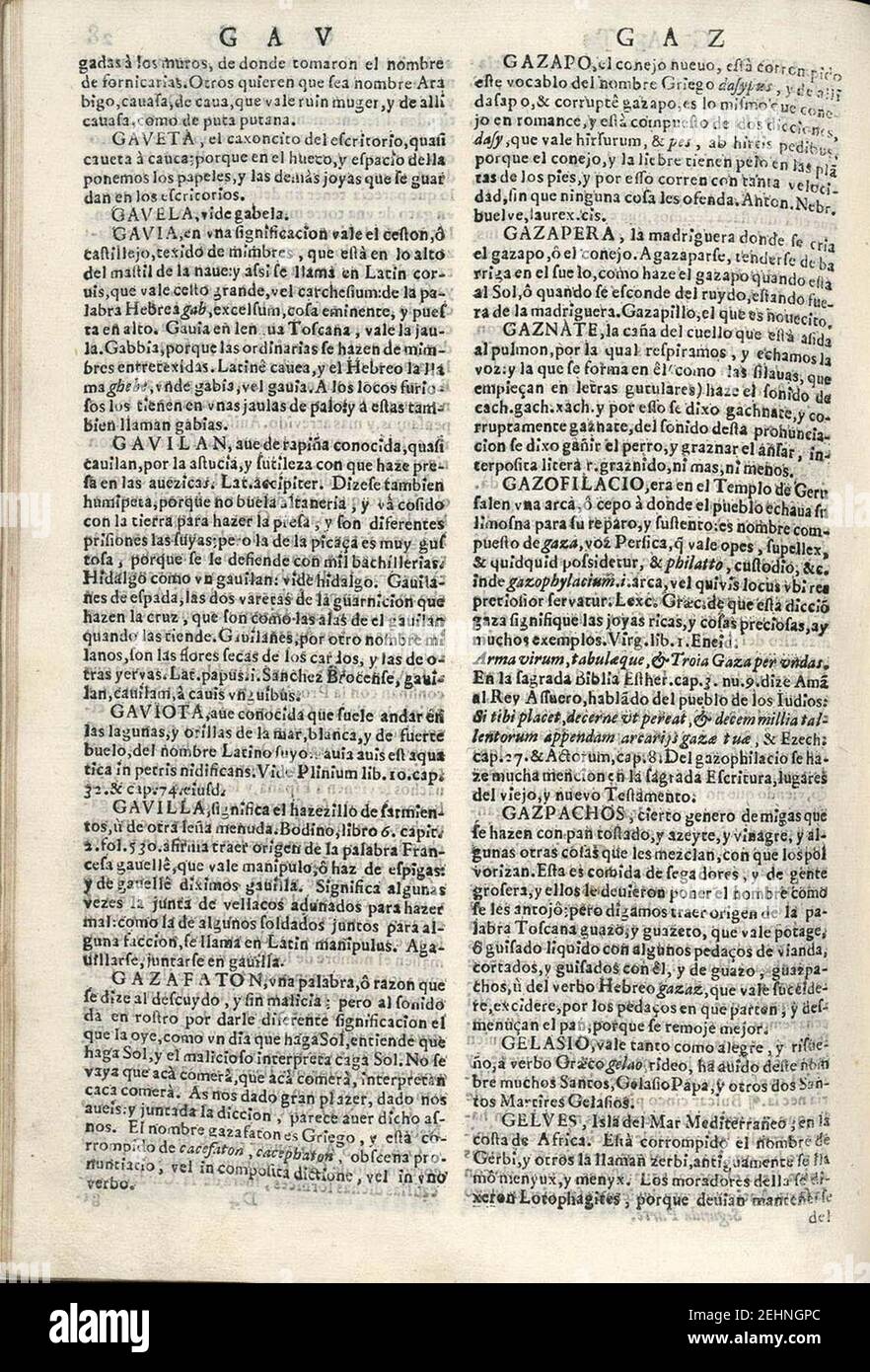 Parte segunda del Tesoro de la lengua castellana o española (1673),  página28v Stock Photo - Alamy