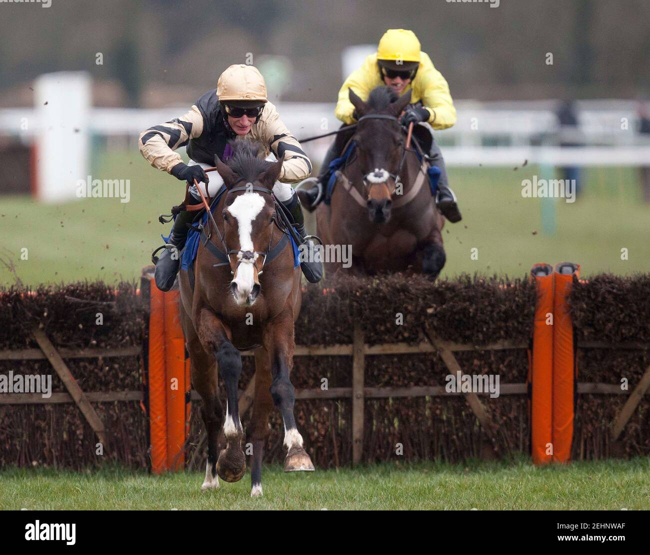 Horse Racing - Fontwell - Fontwell Racecourse - 24/2/13  Prospect Wells ridden by Daryl Jacob lead Dark Lover ridden by Ryan Mahon (R) away from the last flight before going on to win 15.45 totepool National Spirit Hurdle  Mandatory Credit: Action Images / Julian Herbert  Livepic Stock Photo
