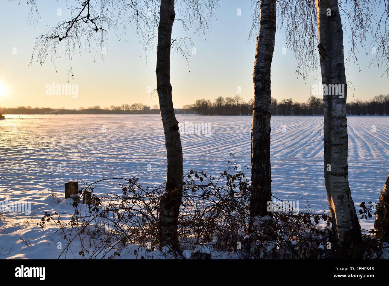 Sunrise over snow covered field hi-res stock photography and images - Alamy