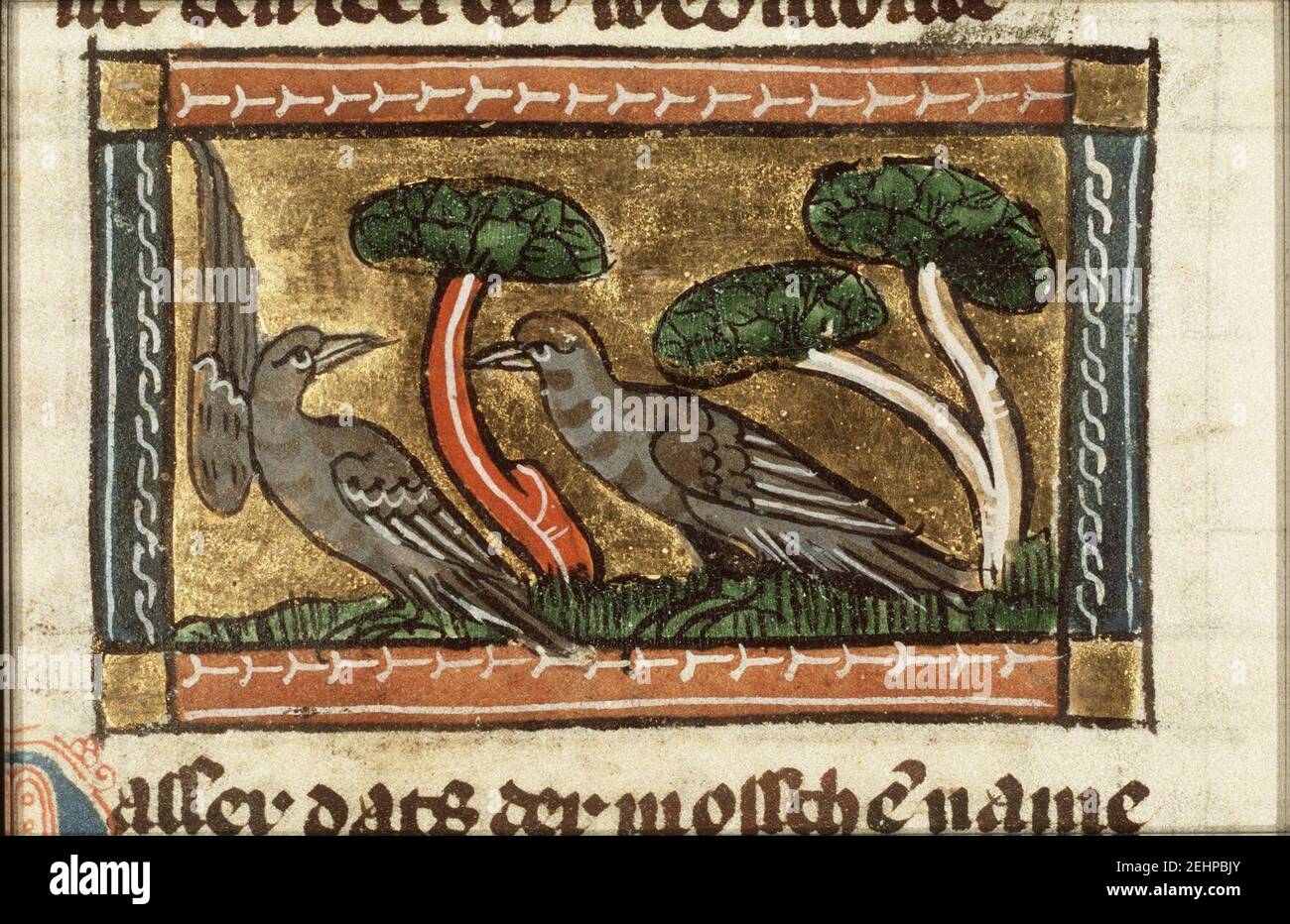 Passer (sparrow) - Der naturen bloeme - Jacob van Maerlant - KB KA 16 ...