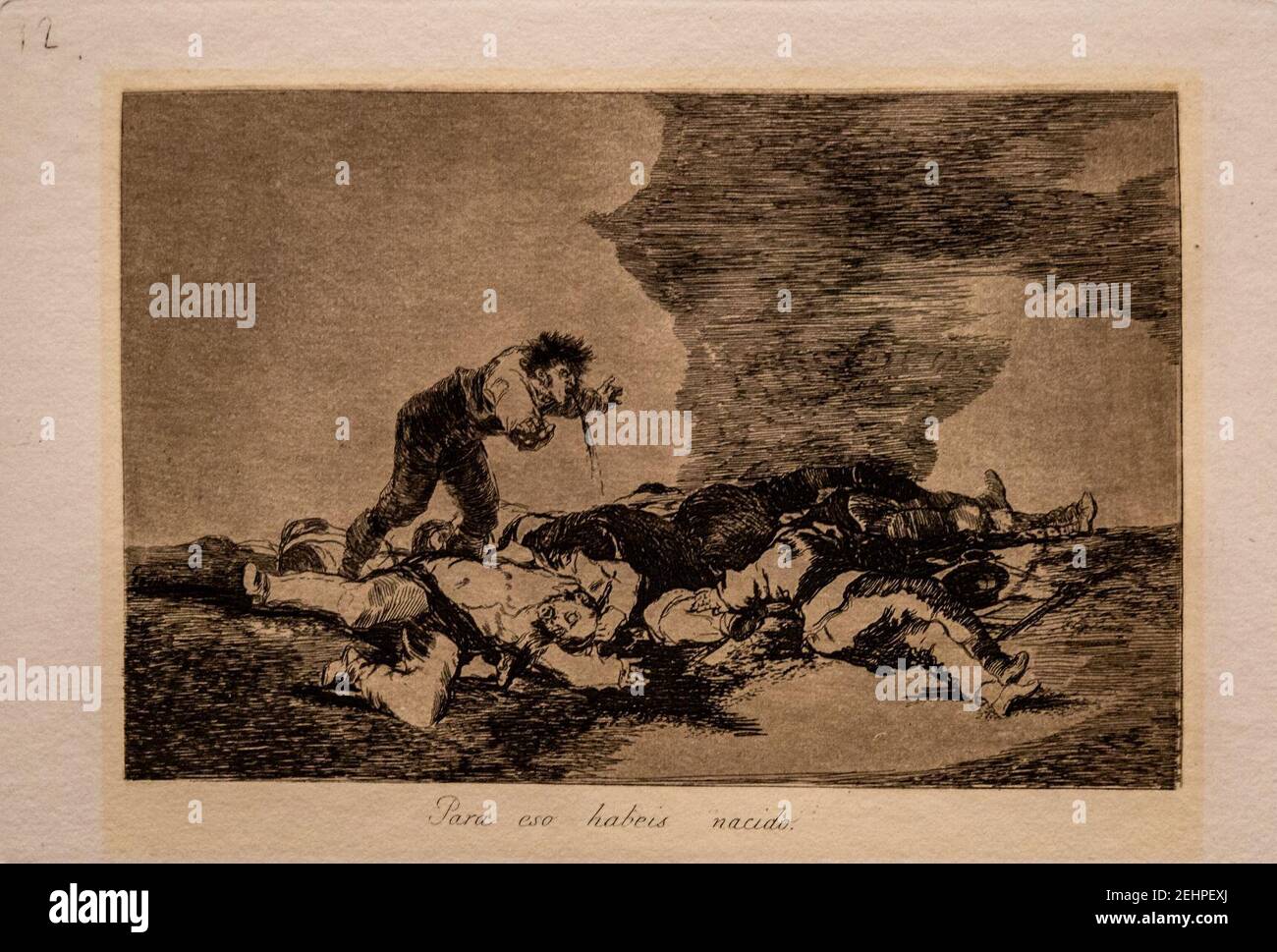 Passion Leidenschaft-Goya-Die Schrecken des Krieges-Dazu seid ihr geboren worden DSC7521. Stock Photo