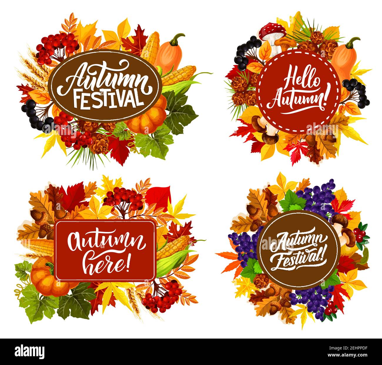 Fall fest or autumn festival posters with seasonal holiday quotes. Vector pumpkin and corn harvest with mushrooms and berries in autumn maple leaf fol Stock Vector