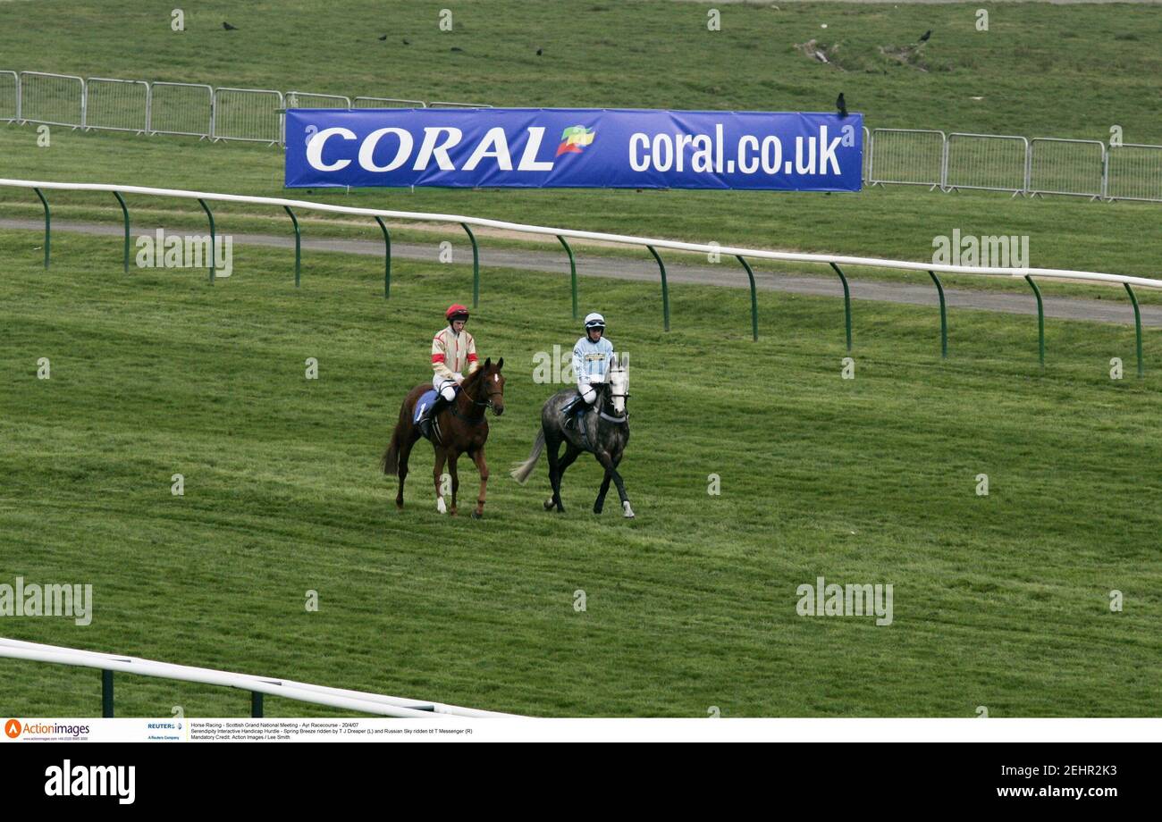 Messenger Horse High Resolution Stock Photography And Images Alamy