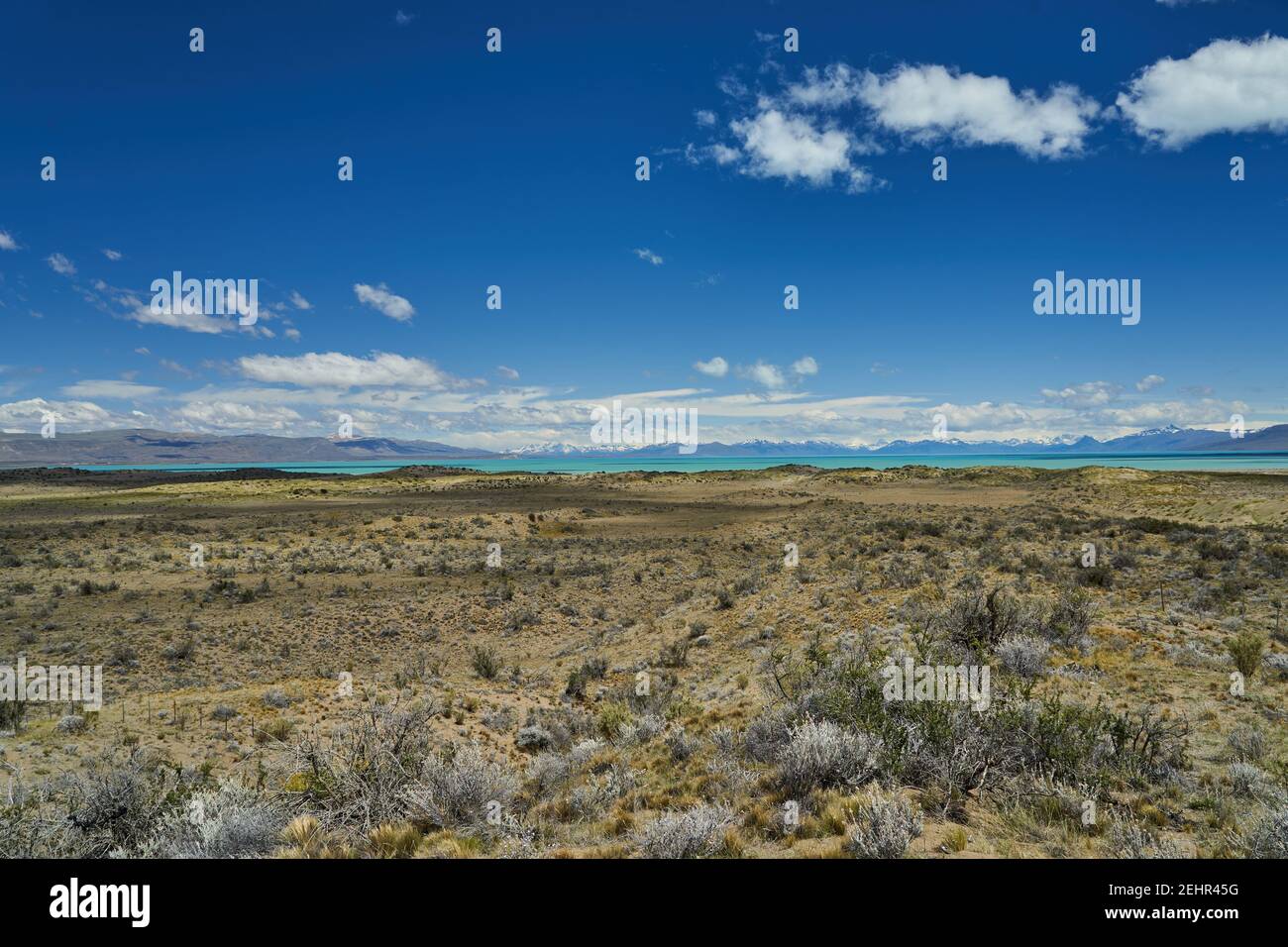 vast open landscape in Patagonia at turquoise Lago Viedma close to Fitz Roy mountain with snow covered mountains of the Andes in the background Stock Photo