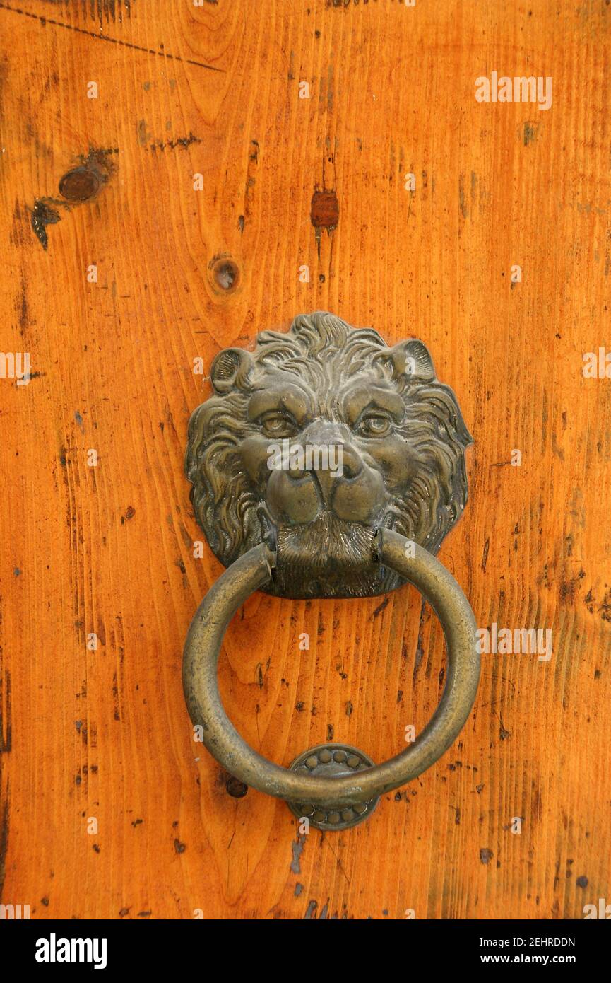 Door handle in the shape of a lion Stock Photo Alamy