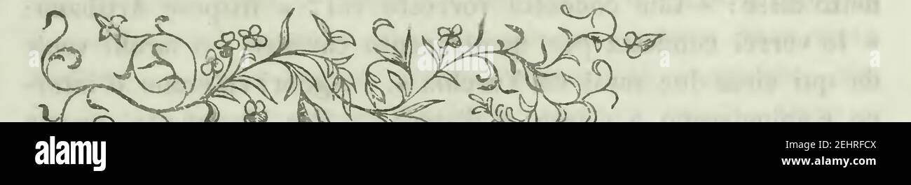 Pattern from Andrea da Barberino - Guerino detto il Meschino, 1841 (page 391 crop). Stock Photo