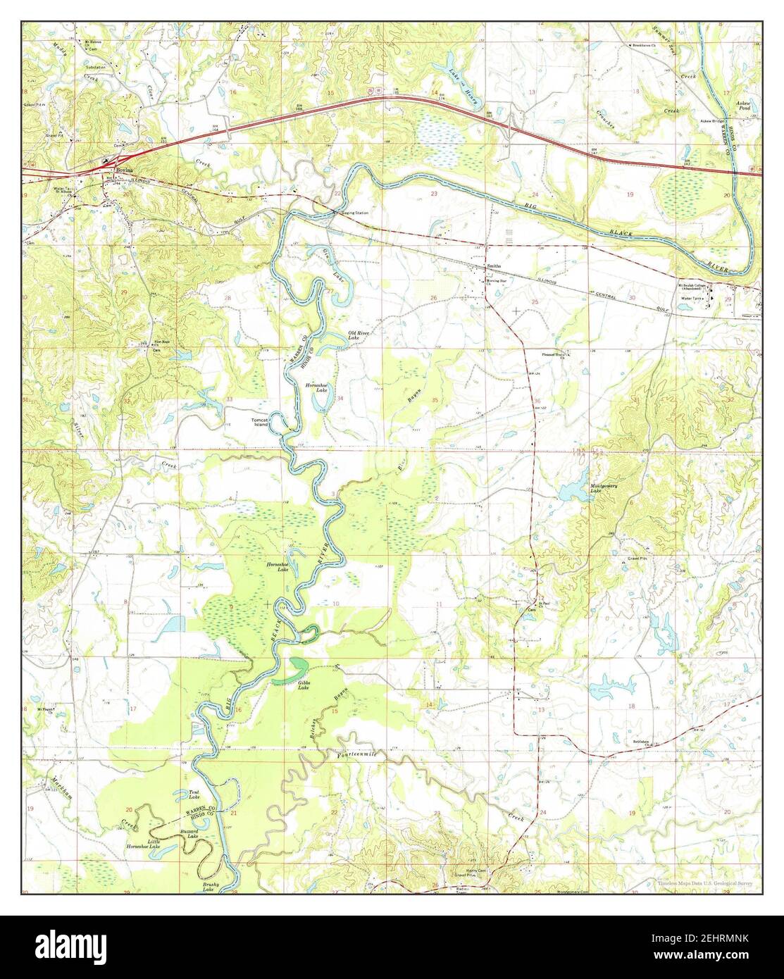 Bovina Cut Out Stock Images & Pictures Alamy